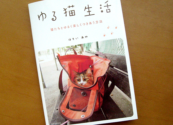 大好きな猫たちと、ゆるく楽しくつきあう方法