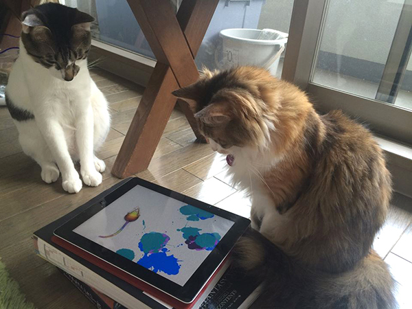 大好きな猫たちと、ゆるく楽しくつきあう方法