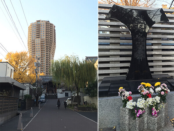 「東京三大イチョウ」独断決定！　都内の巨樹探訪案内