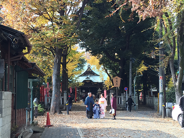 「東京三大イチョウ」独断決定！　都内の巨樹探訪案内
