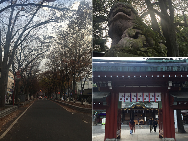 「東京三大イチョウ」独断決定！　都内の巨樹探訪案内