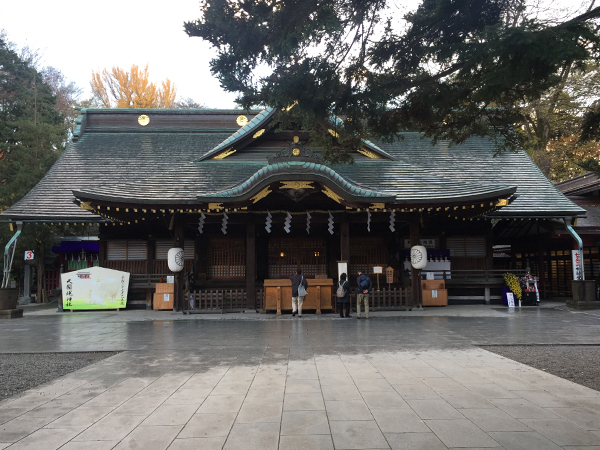 「東京三大イチョウ」独断決定！　都内の巨樹探訪案内