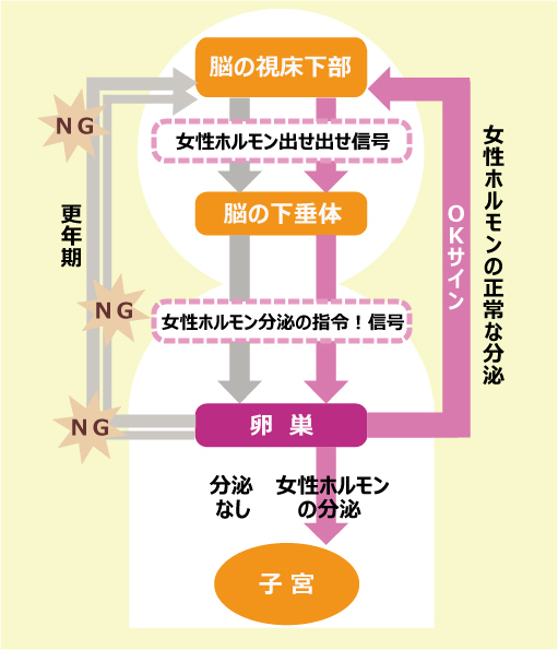 ポジティブに迎えよう！「オトナ思春期」基礎レッスン