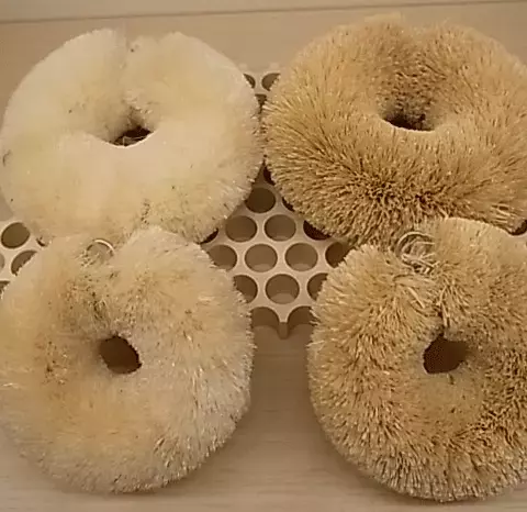 エコかわいい暮らしの道具、たわし　～知っておきたい“江戸な日用品”案内～