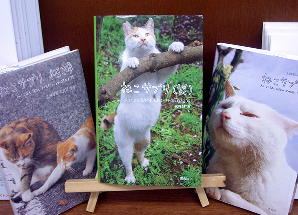 2月22日は猫の日！「にゃんこ堂」おススメ猫本3冊