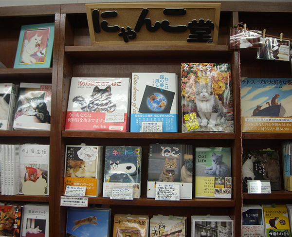 2月22日は猫の日！「にゃんこ堂」おススメ猫本3冊