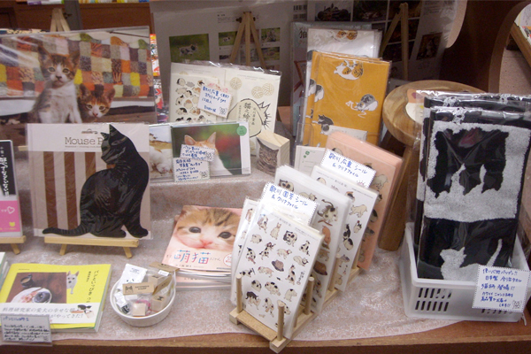 2月22日は猫の日！「にゃんこ堂」おススメ猫本3冊