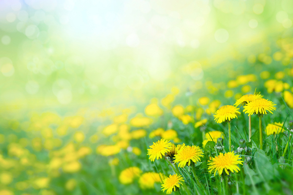 人生の悩みは「色」で解決？！　色選びでオンナ度をあげる方法