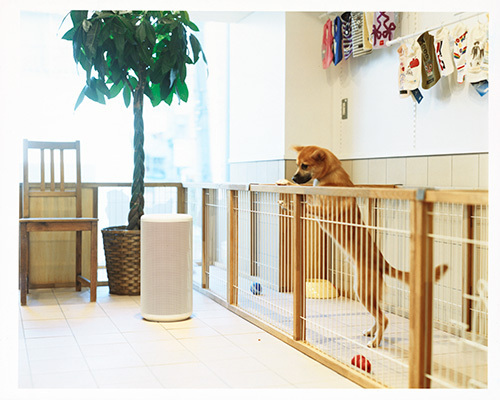 新しいこと始めたい春。最新家電で気分をリフレッシュ！