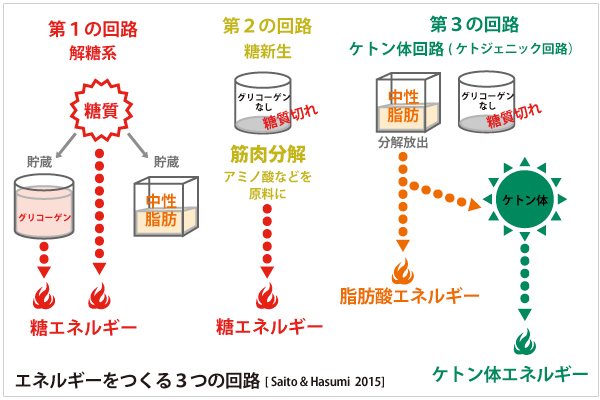 脂肪がみるみる燃えていく？！ 今すぐできる「ケトジェニックダイエット」実践法