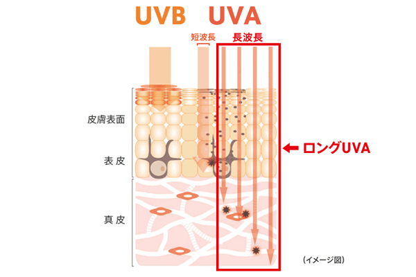 肌老化の原因「ロングUVA」を知っていますか？　いますぐ始める紫外線対策