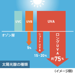 肌老化の原因「ロングUVA」を知っていますか？　いますぐ始める紫外線対策