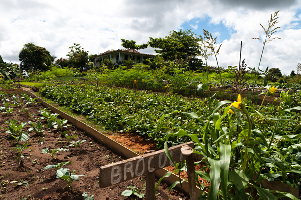 美と健康に影響あり！神秘的な 「月」のリズムを知って暮らすこと