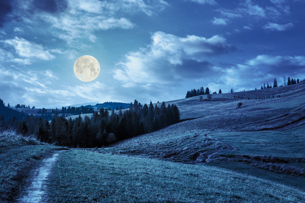 美と健康に影響あり！神秘的な 「月」のリズムを知って暮らすこと