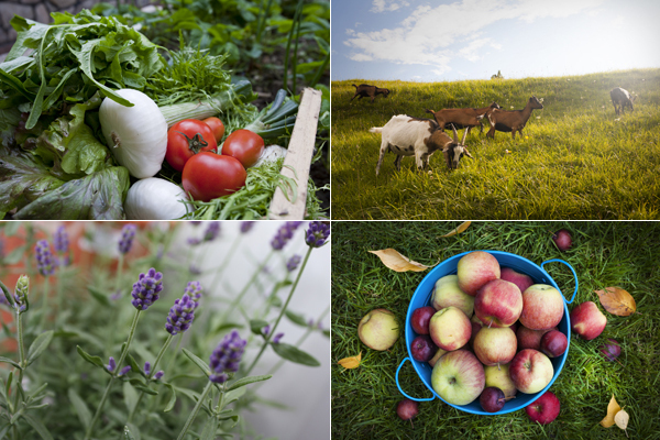 美と健康に影響あり！神秘的な 「月」のリズムを知って暮らすこと
