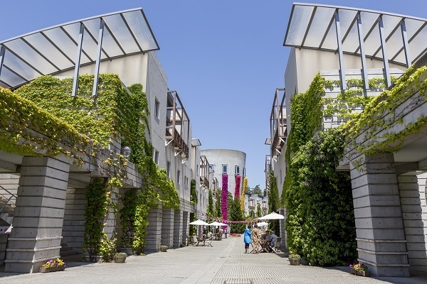 八ヶ岳の恵みを味わう、極上ワインステイ