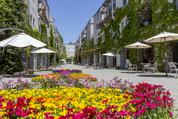 八ヶ岳の恵みを味わう、極上ワインステイ