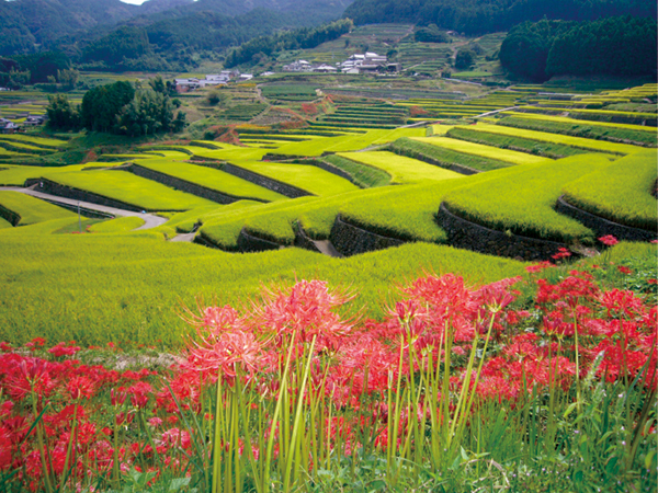 美しい自然、焼き物、カフェや雑貨…　魅力がギュッとつまった長崎・波佐見への旅