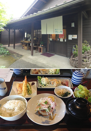 美しい自然、焼き物、カフェや雑貨…　魅力がギュッとつまった長崎・波佐見への旅