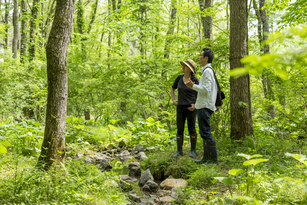 大自然と触れ合い、ゆったりとした時間を過ごす一人旅