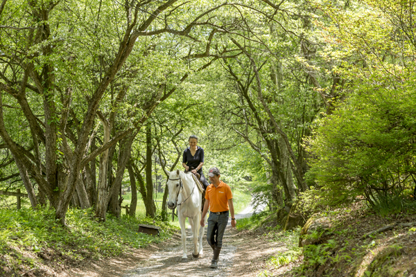 大自然と触れ合い、ゆったりとした時間を過ごす一人旅