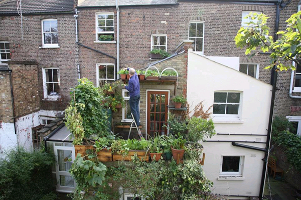 野菜から広がる、都会の農コミュニティとは？「シティファーマーfes!」が開催