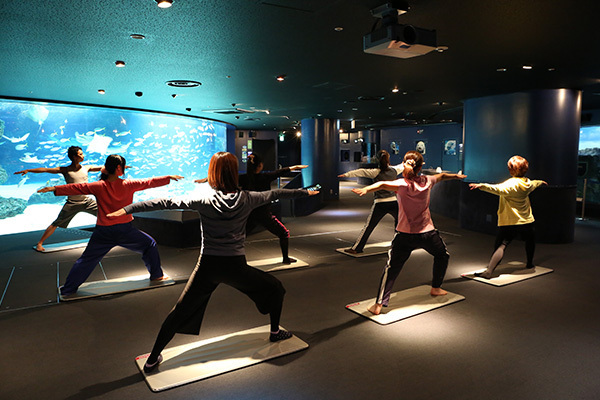 水族館の新しい楽しみかた おとなのためのアクアリウム入門