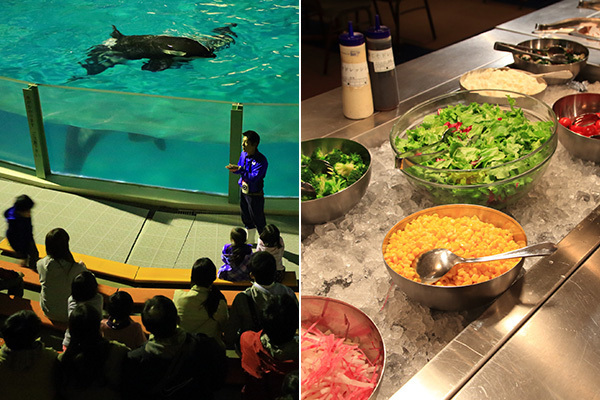 水族館の新しい楽しみかた おとなのためのアクアリウム入門