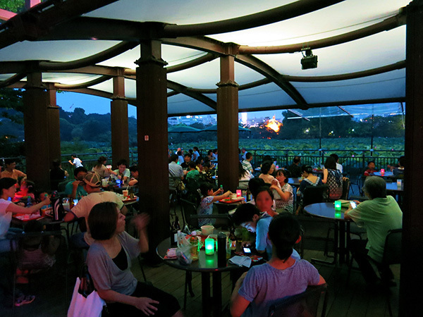 真夏だけのお楽しみ！　ナイト・ズー（夜の動物園）案内