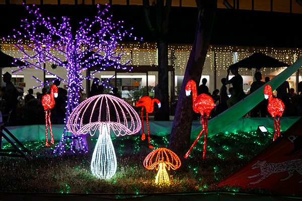 真夏だけのお楽しみ！　ナイト・ズー（夜の動物園）案内