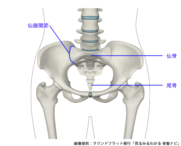体調が良くなる、ボディラインが変わる！ すべての女性に「骨盤メンテナンス」が必要な理由
