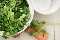 近頃専門店も増えている、話題の「パクチー」。美肌、美白、デトックスなど、女性にとって嬉しい働きが。独特の香りがクセになる、パクチーの魅力やレシピをご紹介します。