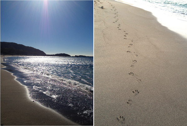 一日で巡る！ 秋に旅する「葉山」で、リセット＆パワーチャージ