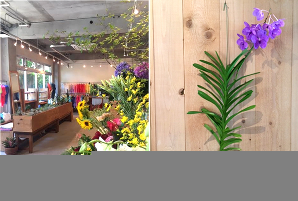 一日で巡る！ 秋に旅する「葉山」で、リセット＆パワーチャージ