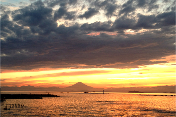 一日で巡る！ 秋に旅する「葉山」で、リセット＆パワーチャージ
