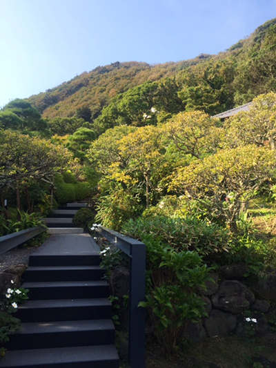 一日で巡る！ 秋に旅する「葉山」で、リセット＆パワーチャージ