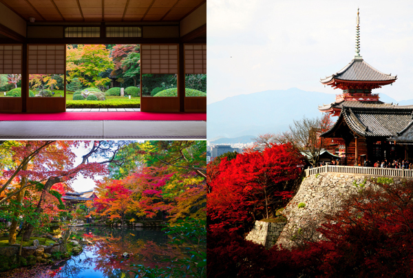 京都の旅、ひとりで入れる美味しいお店
