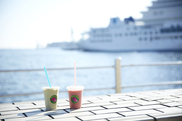 神戸を自転車で巡る、美味しい＆ヘルシーな旅へ