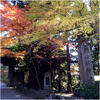 ふらり京都ひとり旅。ゆったりと紅葉を楽しめる穴場スポット　