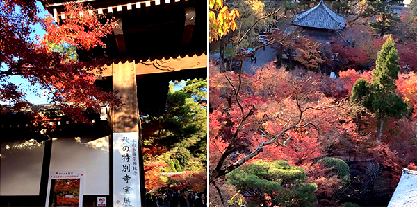 ふらり京都ひとり旅。ゆったりと紅葉を楽しめる穴場スポット　