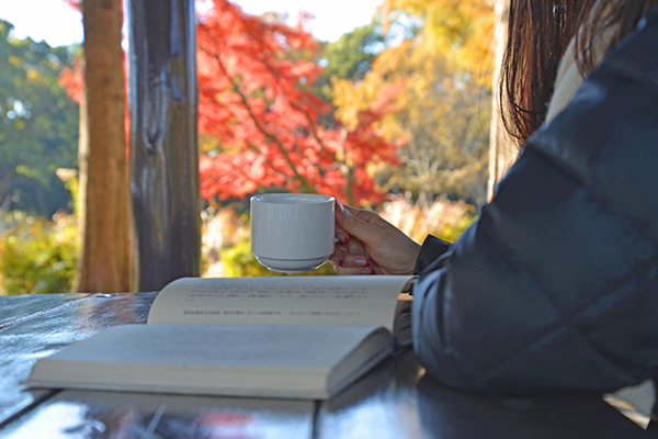 ふらり京都ひとり旅。ゆったりと紅葉を楽しめる穴場スポット　