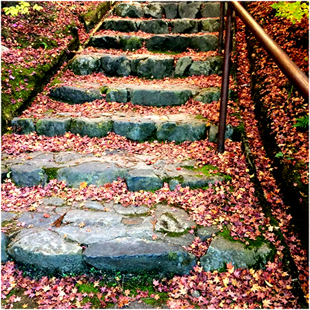 ふらり京都ひとり旅。ゆったりと紅葉を楽しめる穴場スポット　