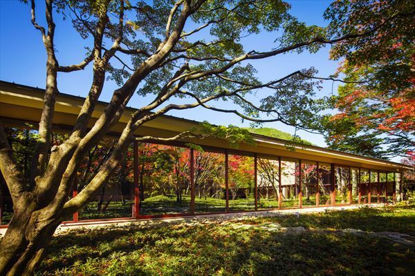 温泉・美食・大自然！　日本再発見、大人の女子旅へ