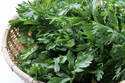 お鍋だけじゃもったいない！　キレイになれる冬野菜「春菊」の美味しい食べ方