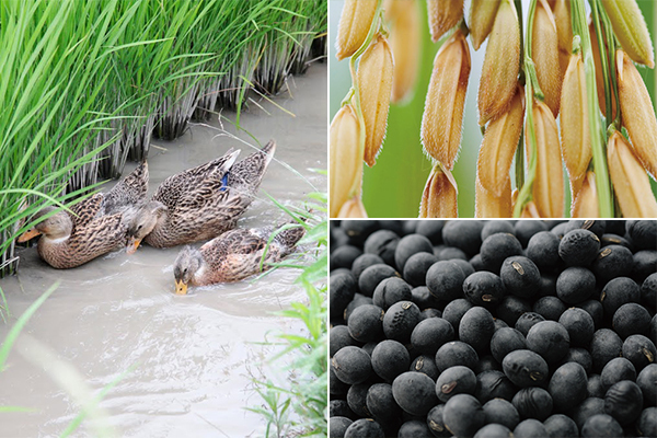 思わず食べたくなる?!　こだわりのオーガニックコスメで、リラックス＆潤いケアを