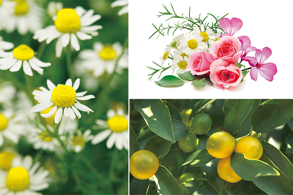 思わず食べたくなる?!　こだわりのオーガニックコスメで、リラックス＆潤いケアを