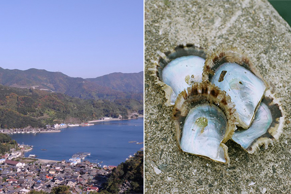 思わず食べたくなる?!　こだわりのオーガニックコスメで、リラックス＆潤いケアを