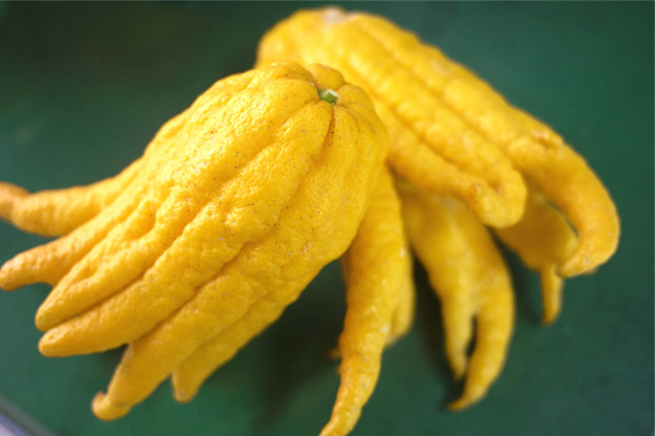 思わず食べたくなる?!　こだわりのオーガニックコスメで、リラックス＆潤いケアを