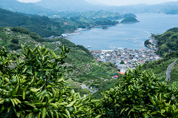 思わず食べたくなる?!　こだわりのオーガニックコスメで、リラックス＆潤いケアを