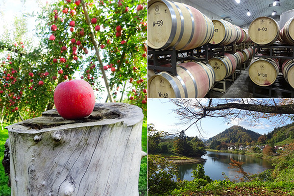 フランス人を魅了！　りんごの町「山形県朝日町」の“飾らないおもてなし”